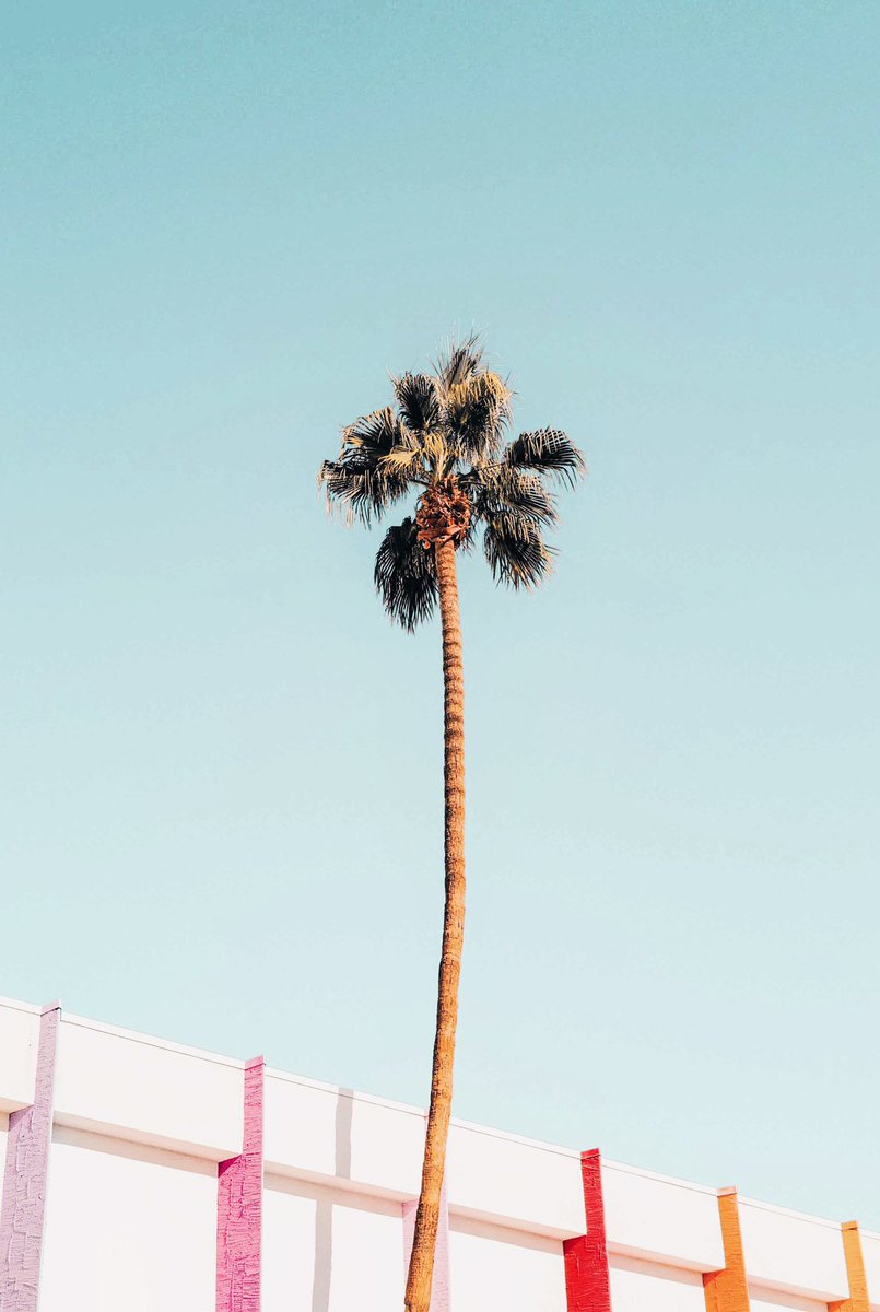 73tilinfinity_'s tweet photo. The colours of Saguaro
Palm Springs, California 
Leica Q2
#leicaq2 https://t.co/pxntUM5IjW