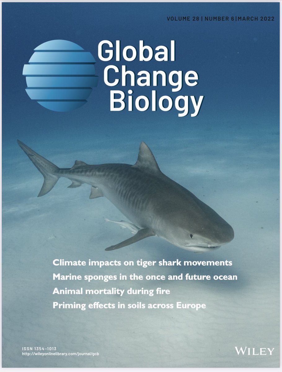 Dr. Neil Hammerschlag (@drneilhammer) on Twitter photo Proud to see our paper on climate impacts to tiger sharks featured on the cover of <a href="/GlobalChangeBio/">Global Change Biology</a> - link to paper here: onlinelibrary.wiley.com/doi/10.1111/gc… Proud to see our paper on climate impacts to tiger sharks featured on the cover of <a href="/GlobalChangeBio/">Global Change Biology</a> - link to paper here: onlinelibrary.wiley.com/doi/10.1111/gc…