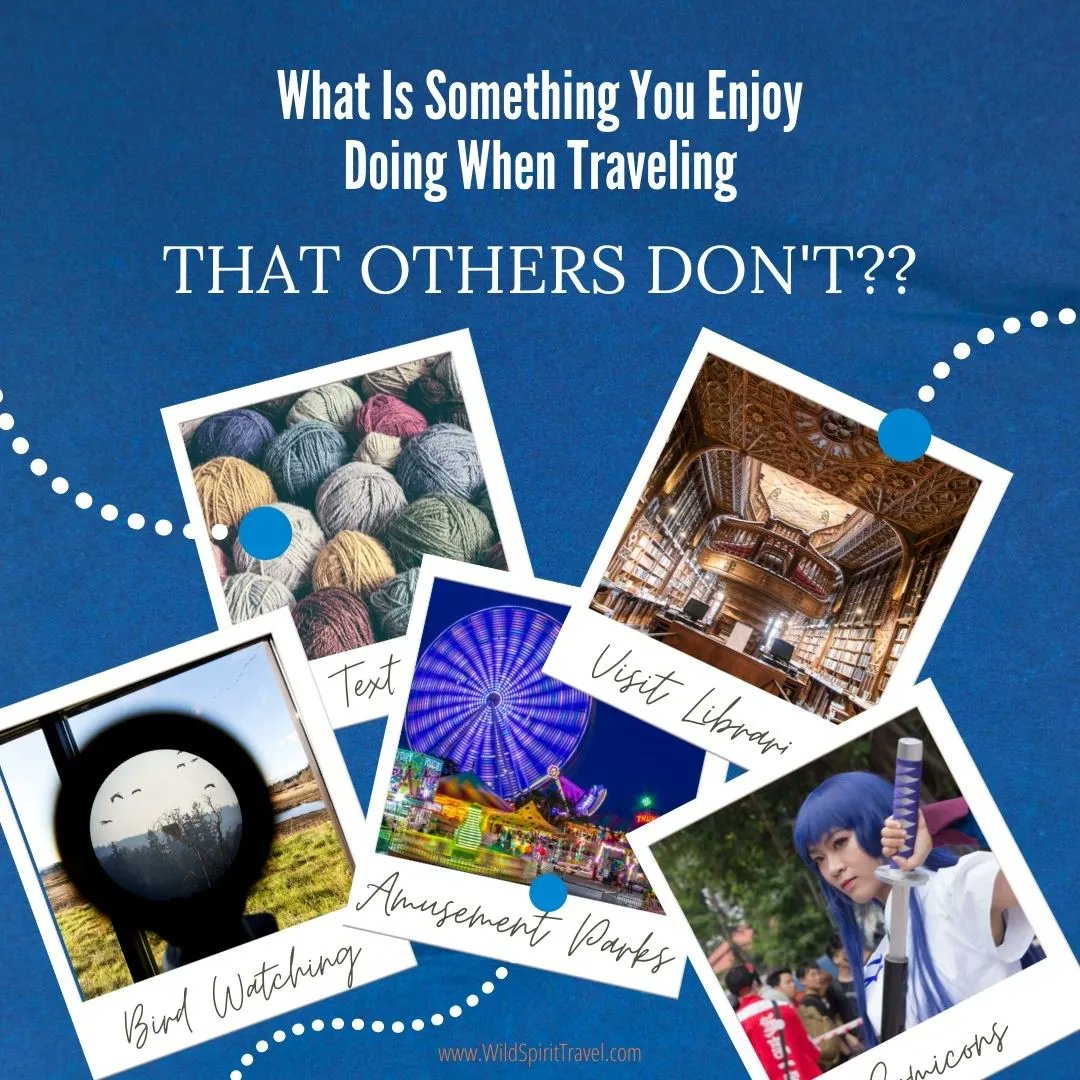 Wild Spirit Traveler tweet media