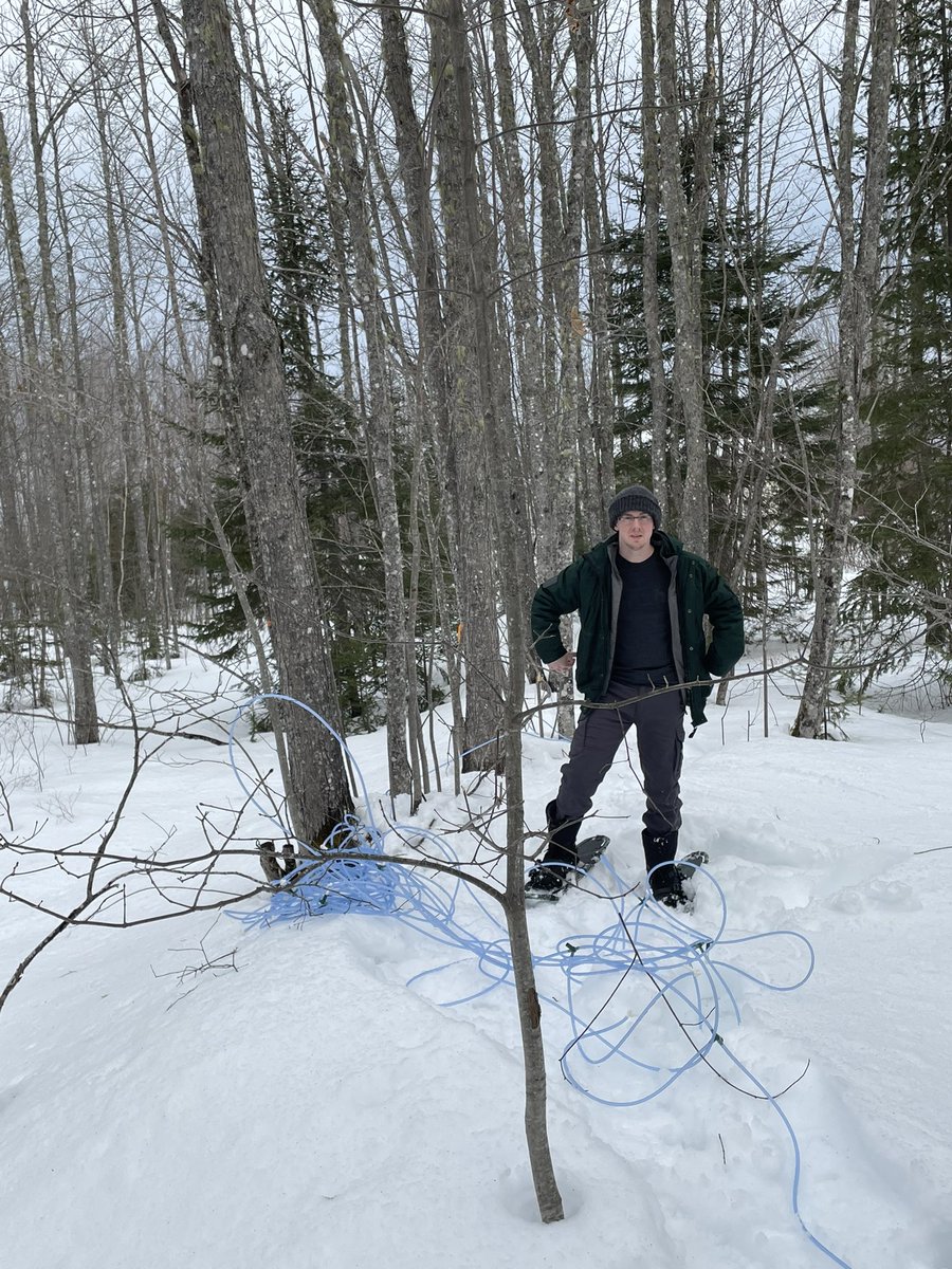 tiltsoneway's tweet image. Young fella helping with placing the lines, life has a good 😁