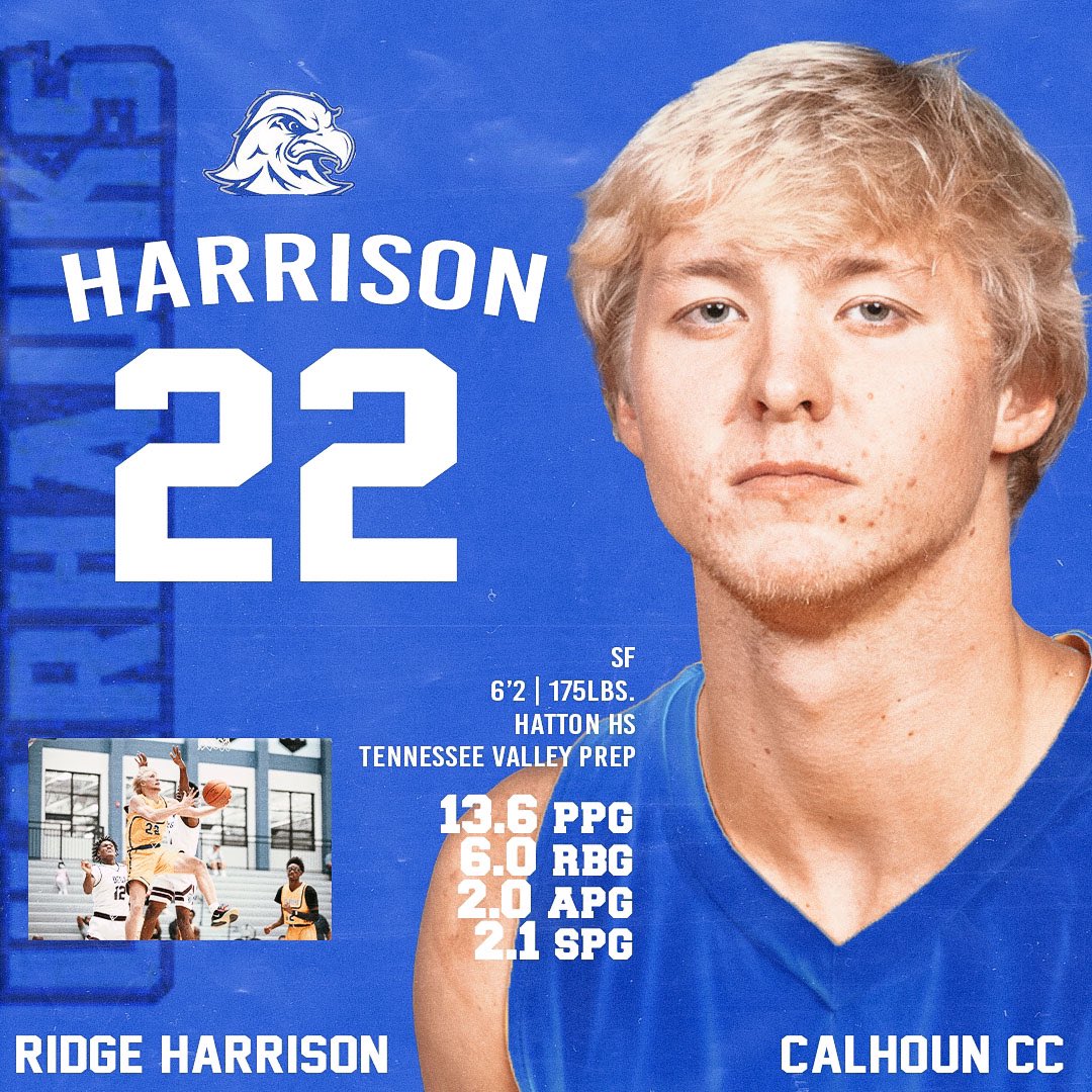 Tennessee Valley Defenders tweet media