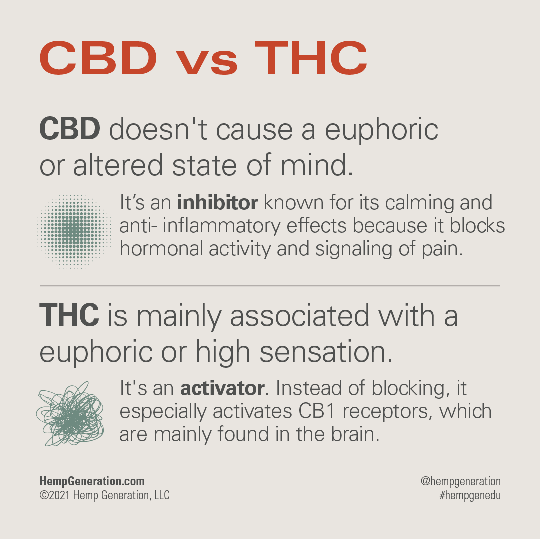 HG_NFT's tweet photo. CBD vs THC. What’s the difference?

THC is considered the most popular cannabinoid, but CBD has risen to the top as an amazing option due to its non-intoxicating effects.

#cbdwellness #cbd #hemp #NFTs #NFT #NFTCommunity #NFTdrop #nftart #NFTCollection #nftart #nftproject https://t.co/Pu2VQHIV9b