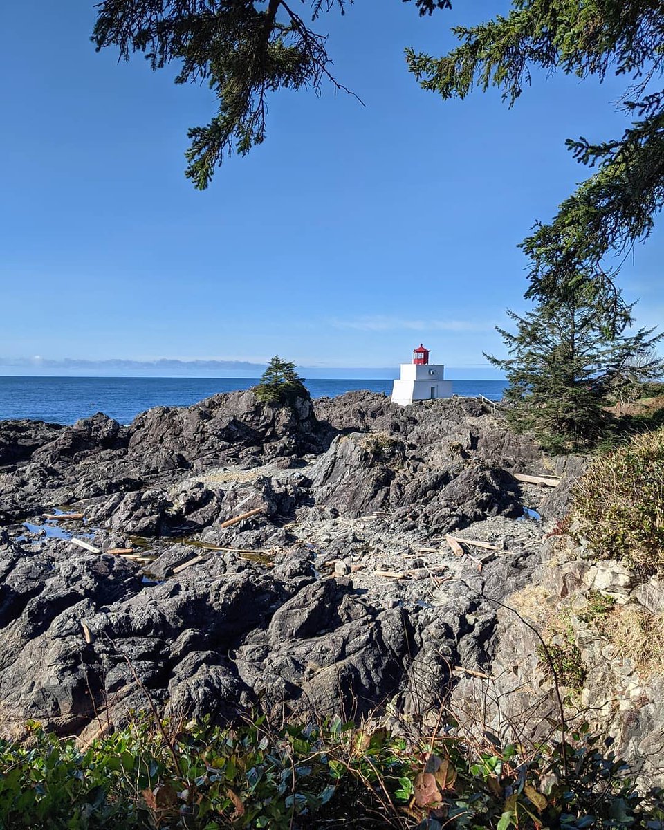Wish you were here. 😊

by chantalloupe on instagram

#ucluelet #explorebc #photography #wildpacifictrail #travel #adventure