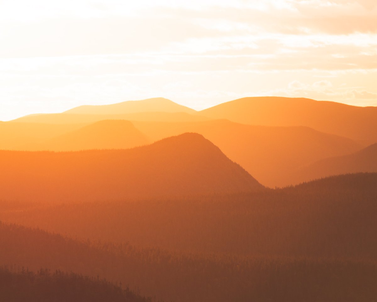 Philippe Hamel-Huard tweet media