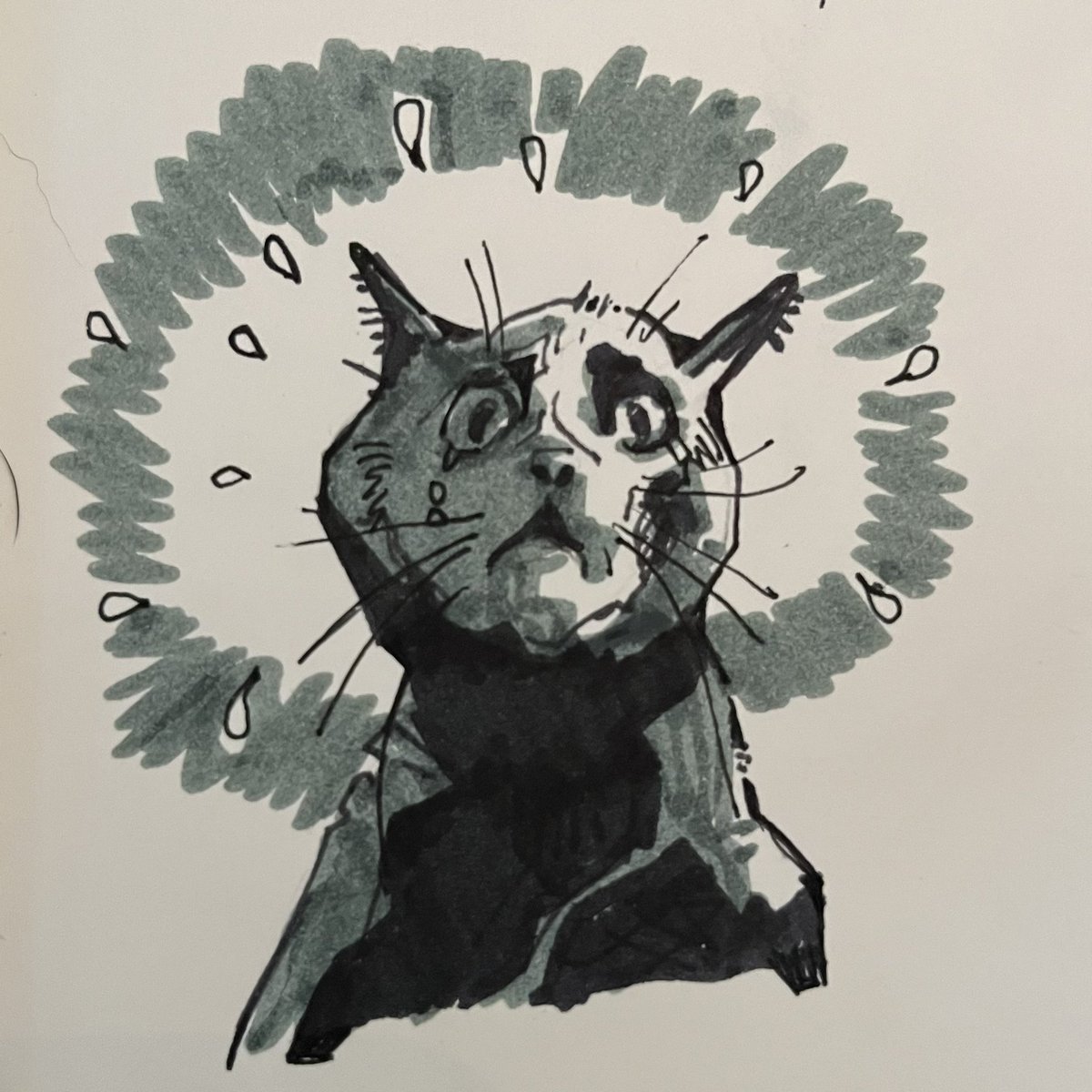 Belacqua_Fish's tweet photo. 02/12/2022. Cat &amp; Jack the very sweet and naughty beagle I sometimes pets it for. #sketch #sketchbook https://t.co/FoKl22OIzj