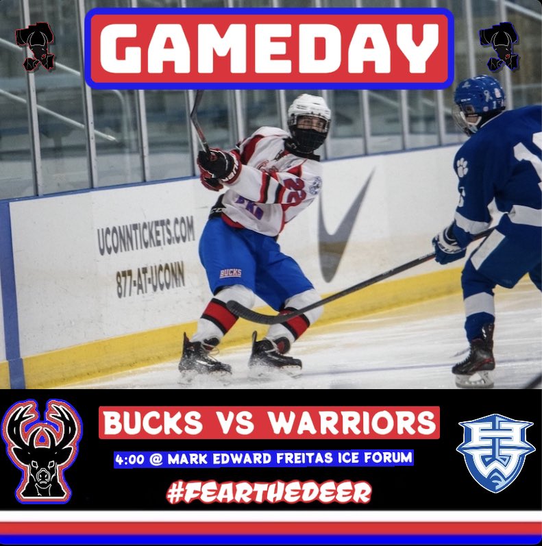GAMEDAY! <a href="/CTHKReport/">CTHS Hockey Report</a>