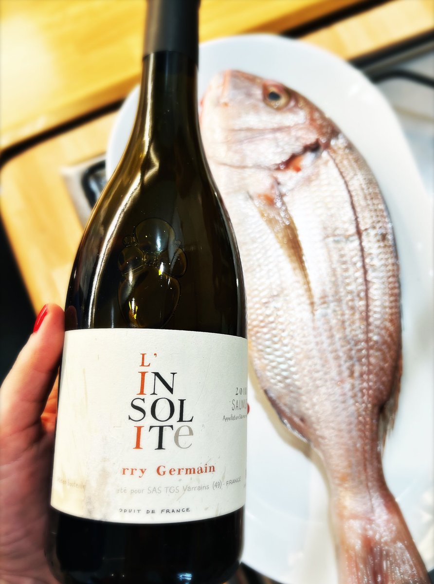 Lee__Corn's tweet photo. On va dire qu’on fera l’expo demain, vous voulez bien ? 😗🐟
#dentice #daurade @rochesneuves #ThierryGermain #LInsolite https://t.co/tLCRJWeB4S