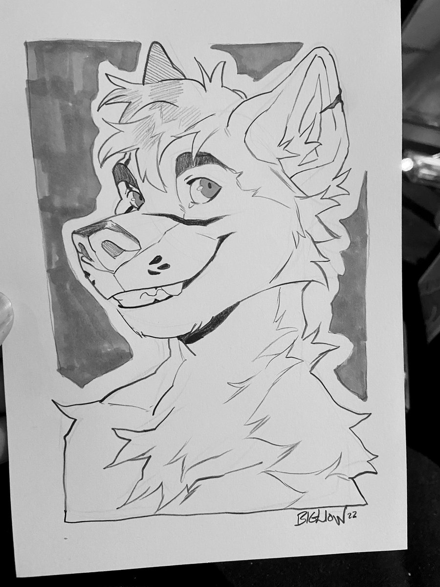 Scotiacon sketch thread! 🦁✏️ I'll be open for these tomorrow as well in the den! Last day Sunday #scotiacon
