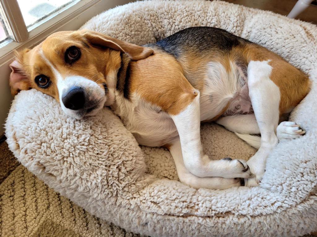 My bed in the sunshine