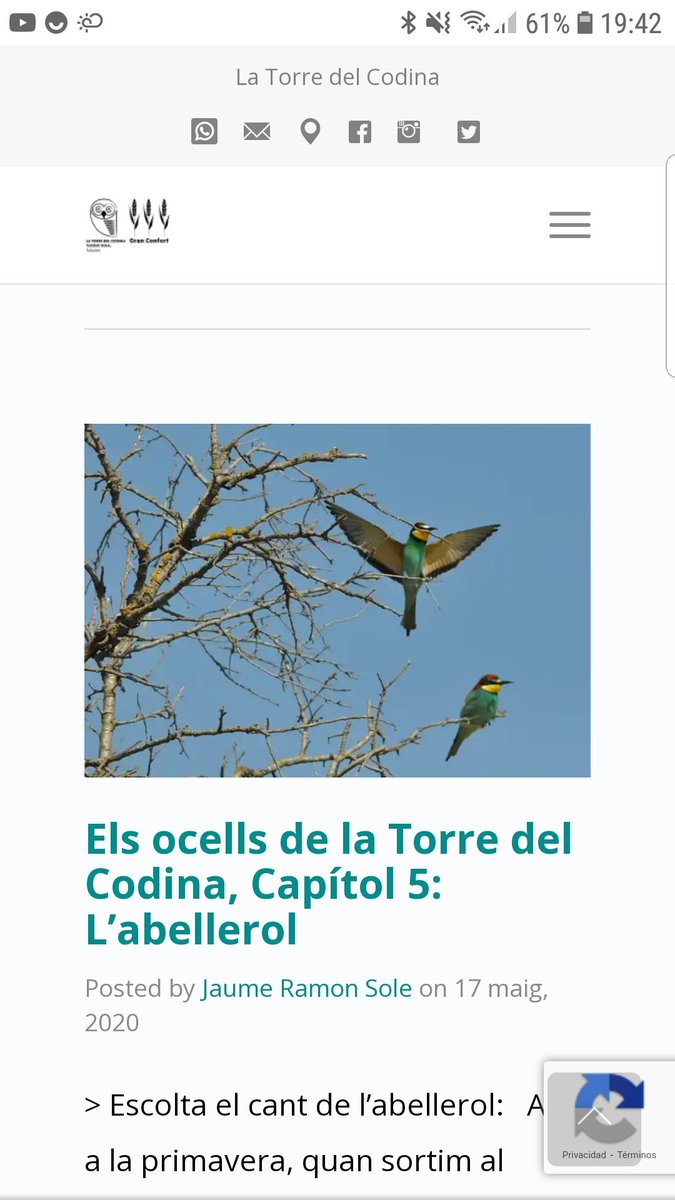 Aquesta tarde he après molt entre les #miniguiesdecamp 🌳🦅⚘ de Toni Llobet i el blog de la @torredelcodina  <a href="/Cossetania/">Cossetània Edicions</a> @WebOryx <a href="/birdcatalunya/">Birding Catalunya</a> <a href="/BirdingLleida/">BIRDING LLEIDA Expedicions</a>