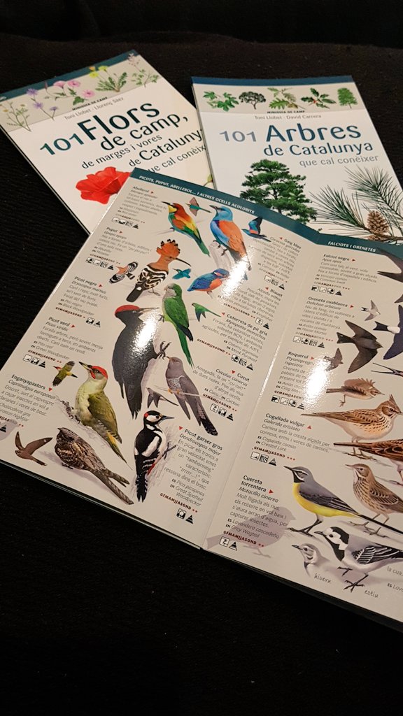 Rosa Martí Rué tweet media