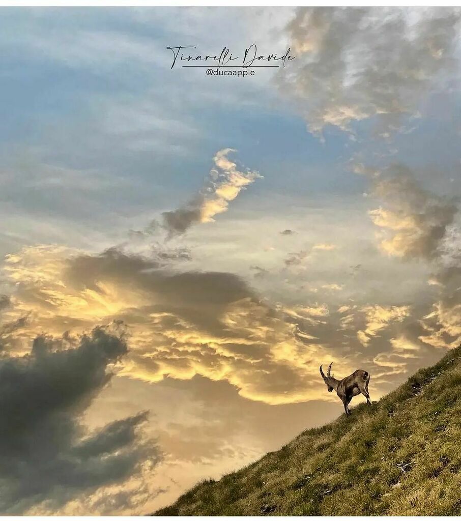 IG Piemonte & Valle d’Aosta tweet media