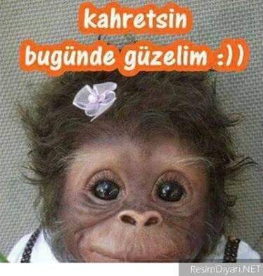 Guzell aksamlar nasilim ama