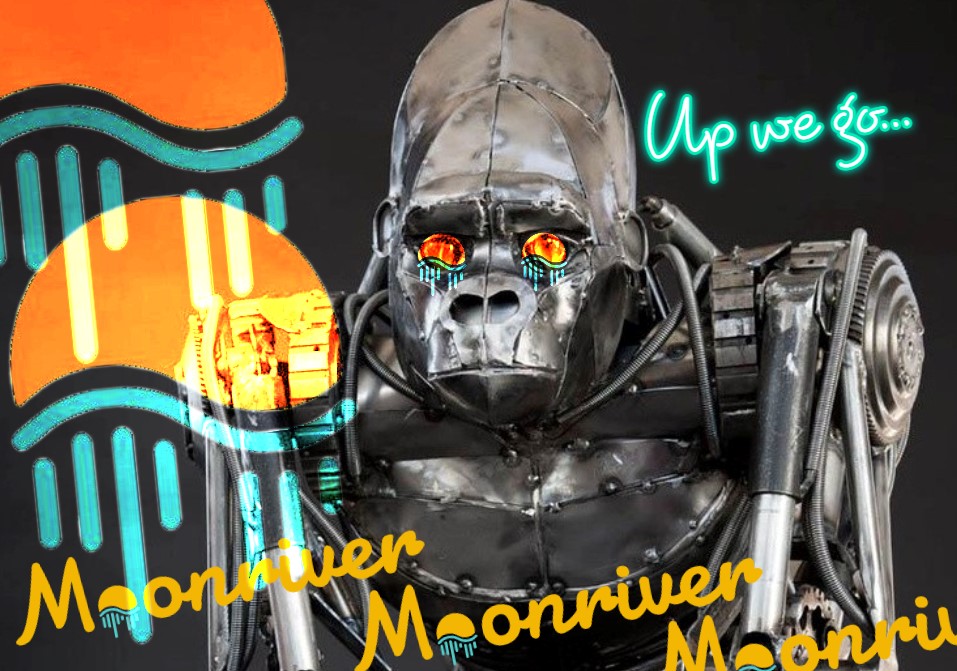 dunkmastercrypt's tweet photo. $MOVR will pump again be patient and #HODL https://t.co/0N8aQG3d8X