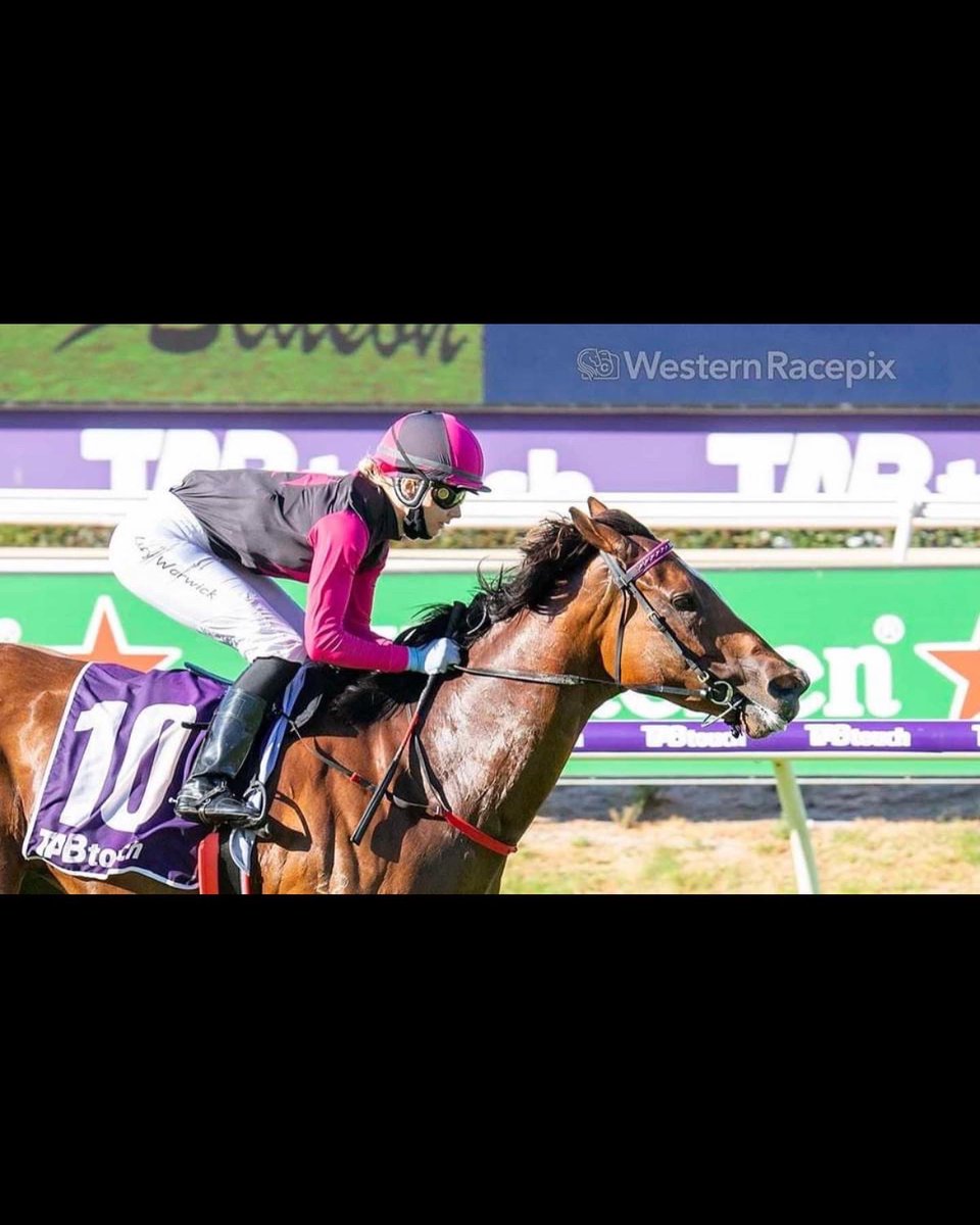 Mitchell Pateman tweet media