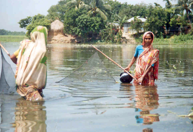 WorldFishCenter's tweet photo. 🚺🚹 Lack of sex-disaggregated &amp; gender data makes it hard to quantify the impact of #COVID-19 &amp; its response for women in #aquaticfood systems.

Find out more from this 📖 chapter by @afrinapup @CL_McDougall @SurenRaj_ 👉https://t.co/jN9uEttOBc

@CGIAR @FISH_CGIAR https://t.co/F68Tmbg6pL