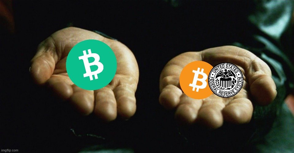 celerycash tweet media