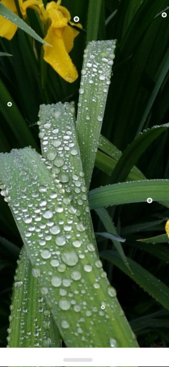 iha42226886's tweet image. 