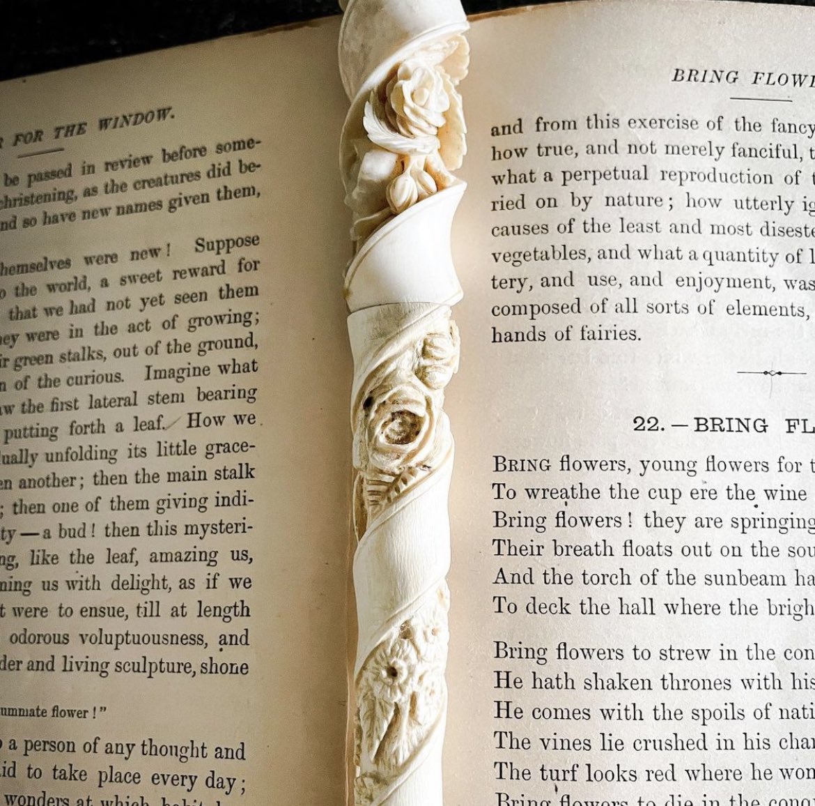 Prewett_DT's tweet photo. wand: rowan, dragon heartstring, 11.5 inches, surprisingly swishy https://t.co/b1dptvvOSZ