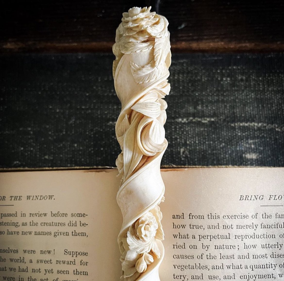 Prewett_DT's tweet photo. wand: rowan, dragon heartstring, 11.5 inches, surprisingly swishy https://t.co/b1dptvvOSZ