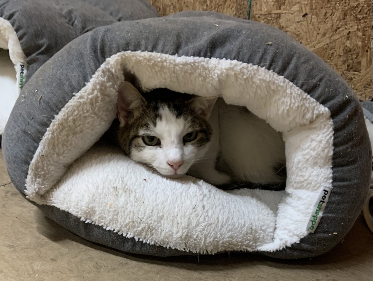 Colby's Army tweet media