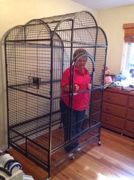 HastyHighlights's tweet photo. I’m keeping my Grandma in this cage until the New York Giants have a winning season https://t.co/55IiJ2W1af