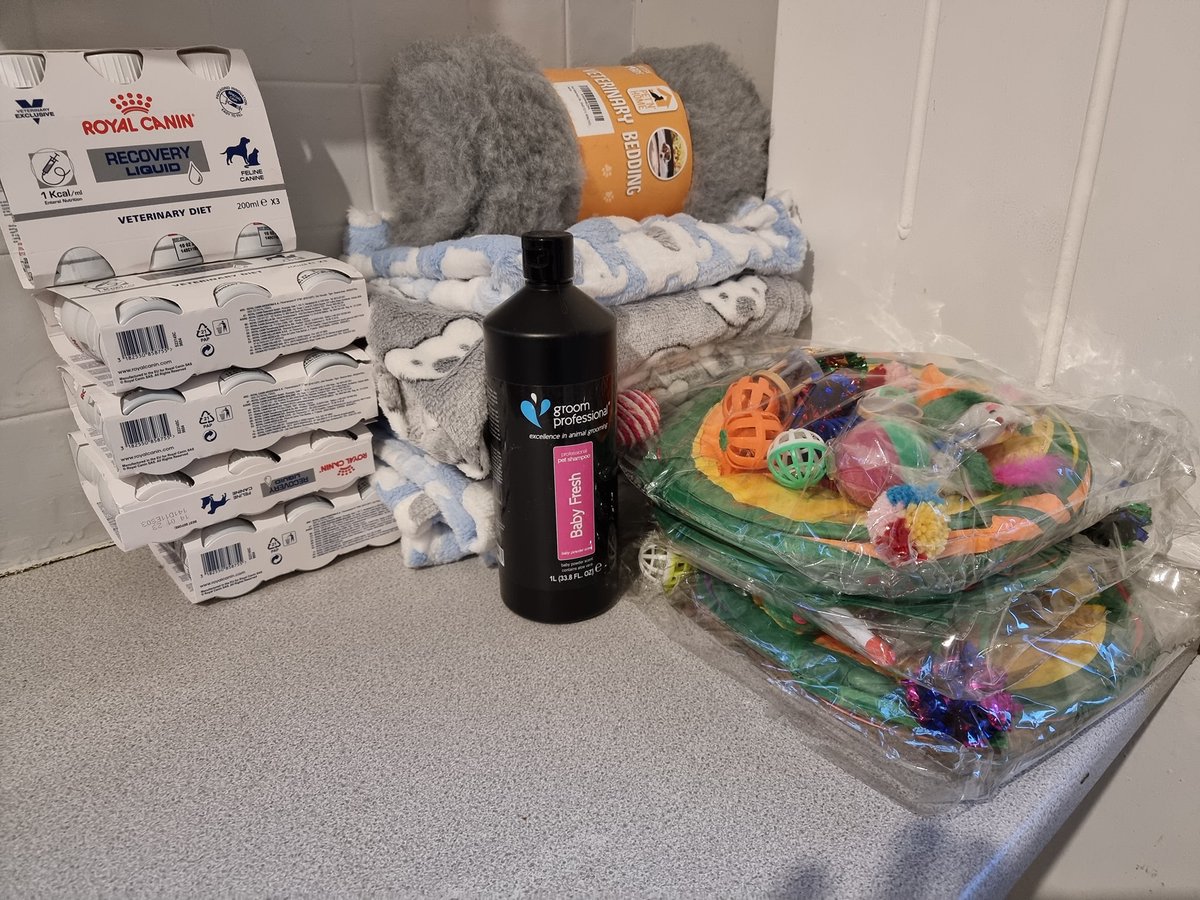 BCWRkittens's tweet photo. Mr Tumble & Friends are delighted with gifts they have received today from their Amazon Wishlist. Thank you to everyone who supports our work. 💟🐾
#mrtumbletherescuecat #wishlist #grateful #brilliantsupporters #donations #catrescueuk #specialneedskittens #cerebellarhypoplasia https://t.co/OJUSBxg8G6