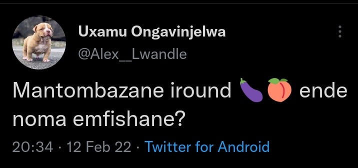 Miss Ziprusha tweet media
