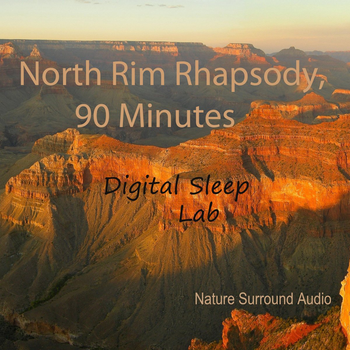 Digital Sleep Lab (@digital_sleep) / Posts / X