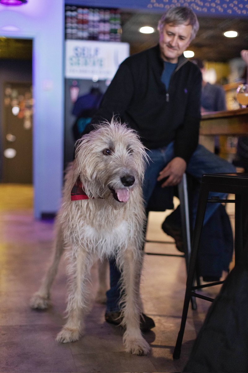 TheBeerKeep's tweet photo. Furry and human friends - it's the freaking weekend!
Dog adoption, a live dance party, the big game and plenty of giveaways - we're jam-packed with free events all weekend. Check out our website for more event details.
#buffalobar #buffalodogs #weekendvibes #buffaloevents https://t.co/Vid2WhbvyL