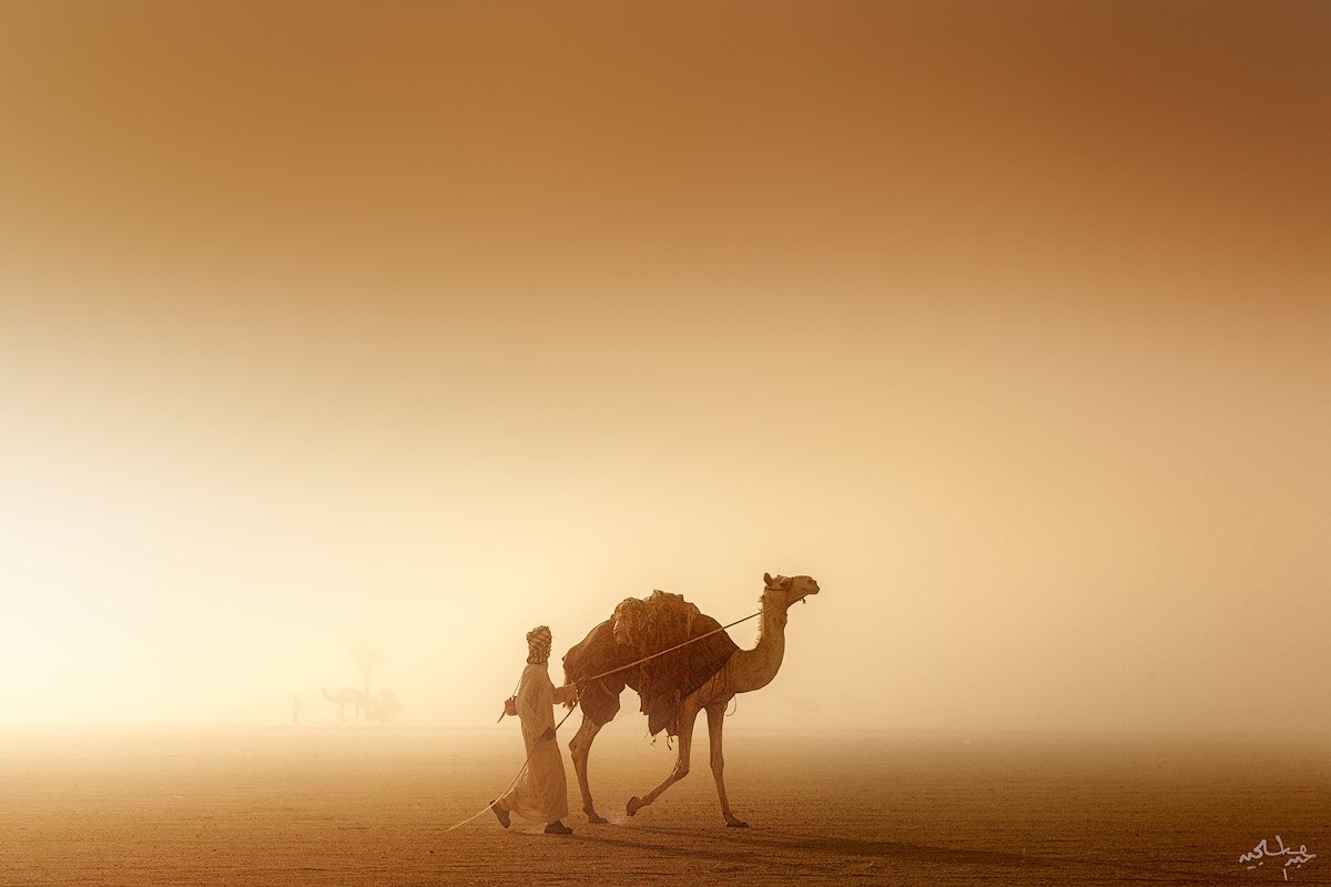 Juhani_A's tweet photo. مجموعة صور من صحرائنا.. https://t.co/gvpP8gPlGv
