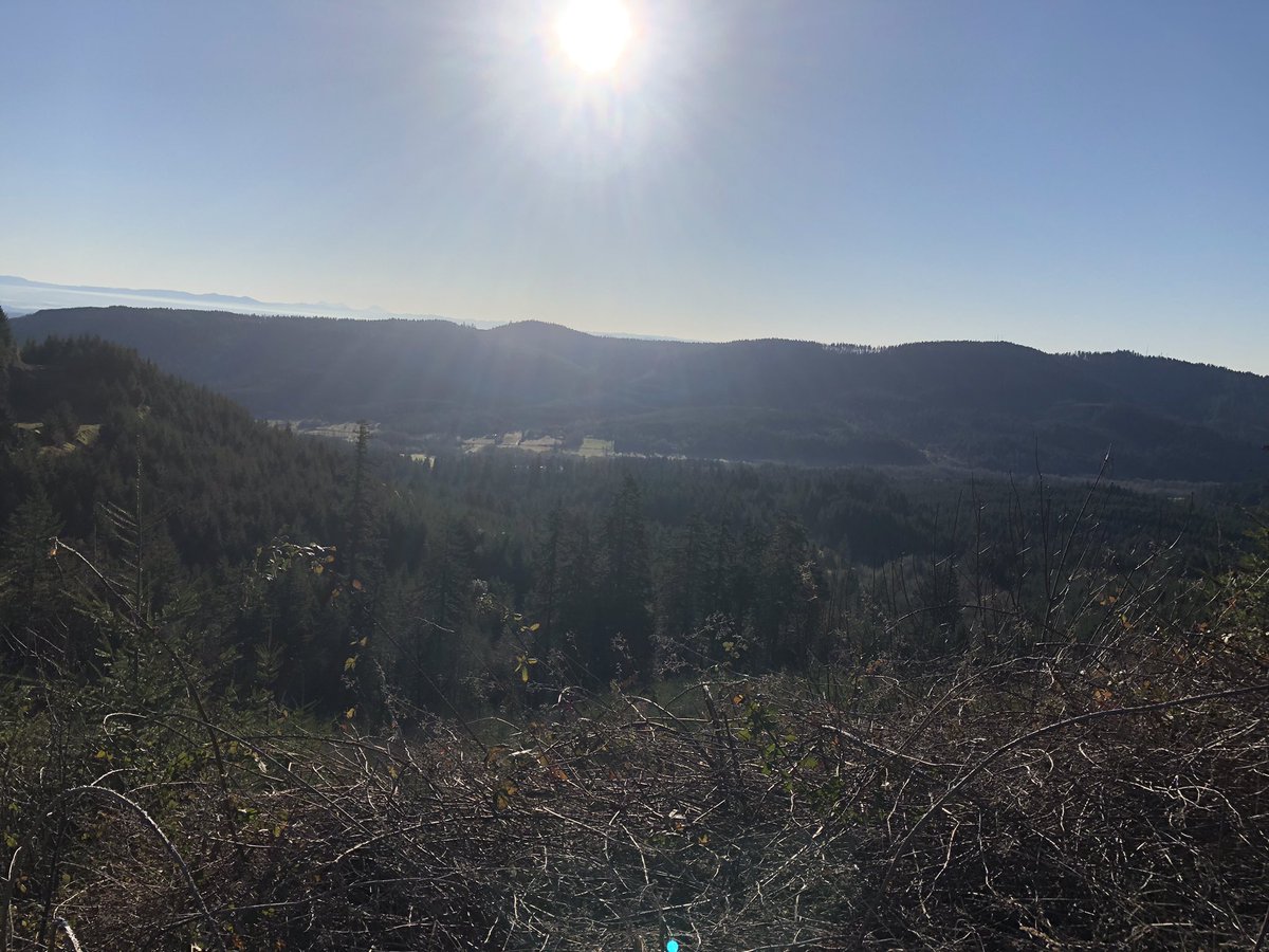 Brian Knaus tweet media