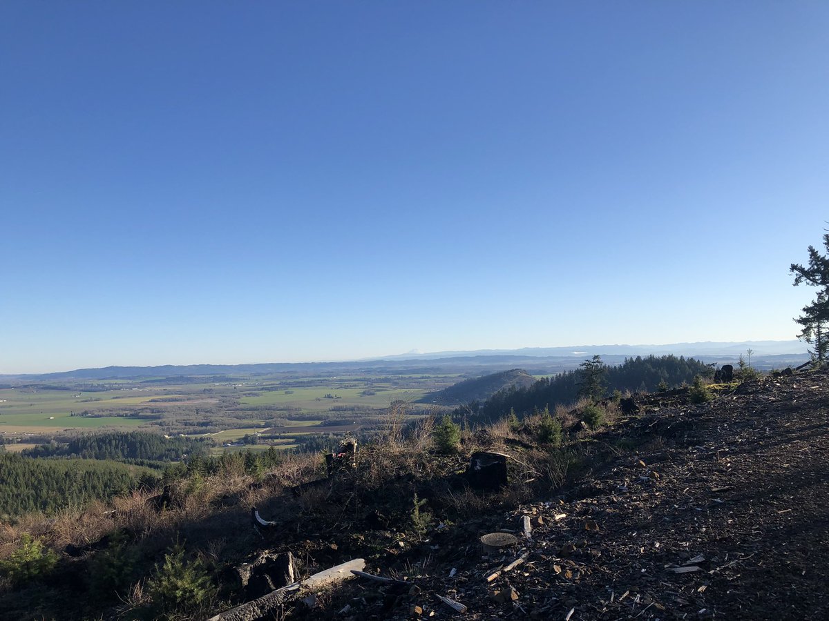 Brian Knaus tweet media