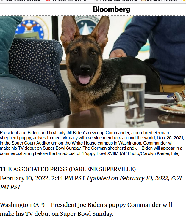 President Joe Biden's puppy, Commander, will make his TV debut on Super Bowl Sunday. @commanderinueth token is only a few hours old. The memeable factor and the coverage during Super Bowl can make #Commander fly. DYOR giving me $MRI vibes. $CMDR #puppybowl Kingdom called it