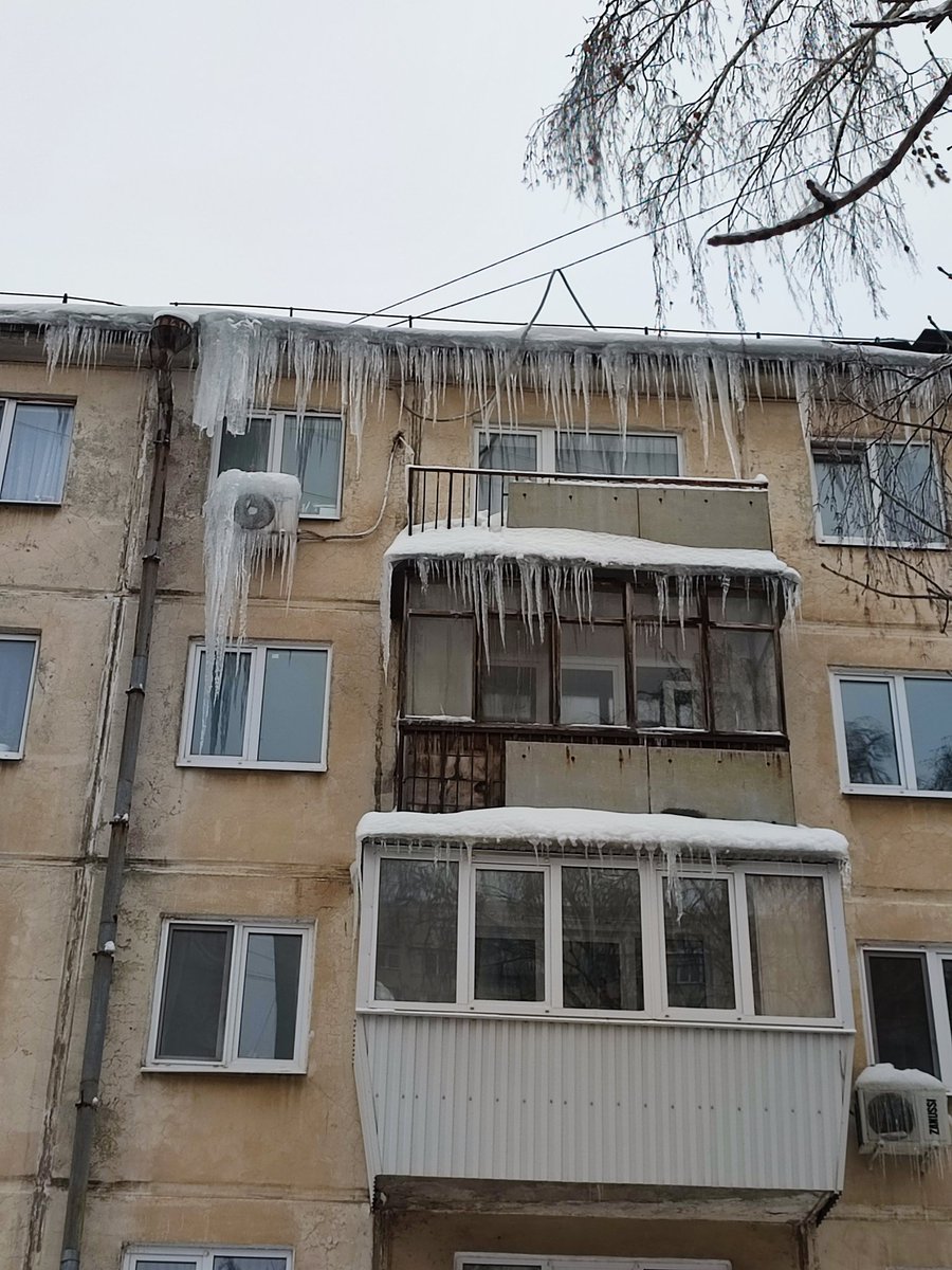 Daria Yakovleva tweet media