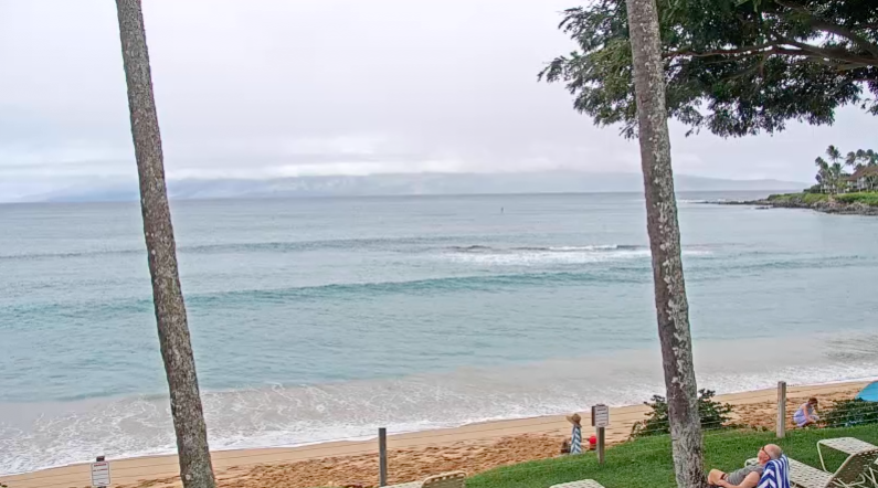 NAPILI BAY/ KAPALUA, MAUI
SATURDAY, FEBRUARY 12TH
LIVE WEBCAM: napilisunset.com/live-webcam?/g… • ow.ly/sI4Go ~ #napilibay #kapalua #maui #surf #golf #honoluabay #sup #lahaina #windsurfing #kiting #surfing #standuppaddleboarding #hydrofoiling #molokai #kitesurfing #wingfoil