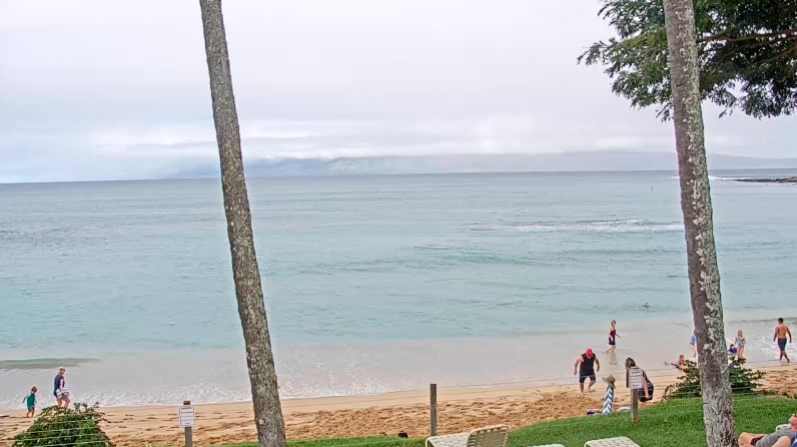MauiAdventures's tweet photo. NAPILI BAY/ KAPALUA, MAUI
SATURDAY, FEBRUARY 12TH
LIVE WEBCAM: https://t.co/t8WfM8x8MM • https://t.co/YpJCO8pzu8 ~ #napilibay #kapalua #maui #surf #golf #honoluabay #sup #lahaina #windsurfing #kiting #surfing #standuppaddleboarding #hydrofoiling #molokai #kitesurfing #wingfoil https://t.co/bNlTlcUmJJ