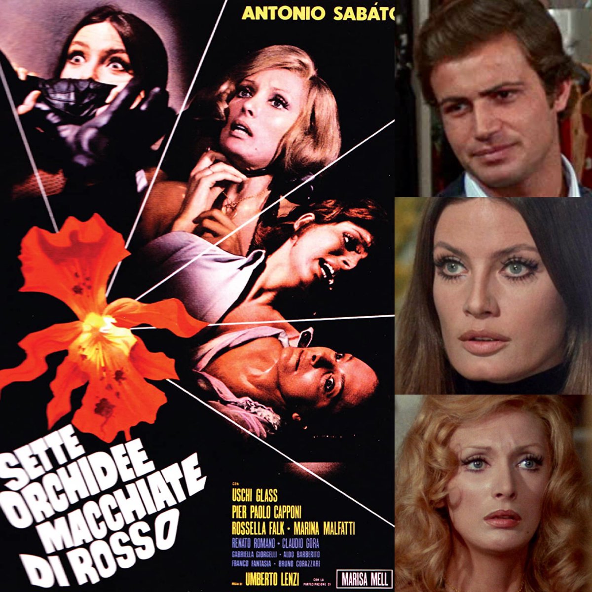 Watching the #giallo film #sevenbloodstainedorchids for the first time