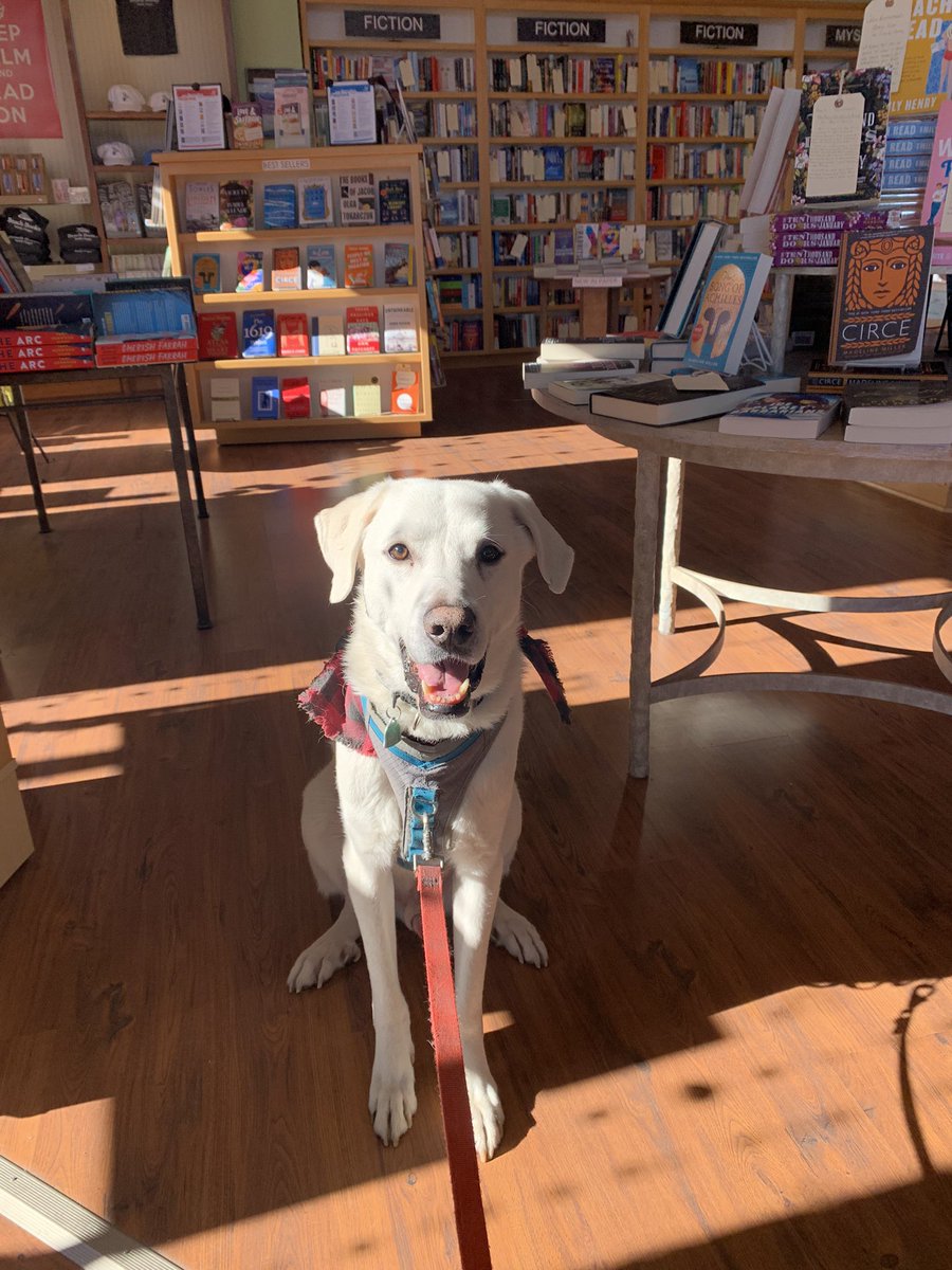 Waylon loves his visits to <a href="/beachbooks37/">beachbooks</a>.