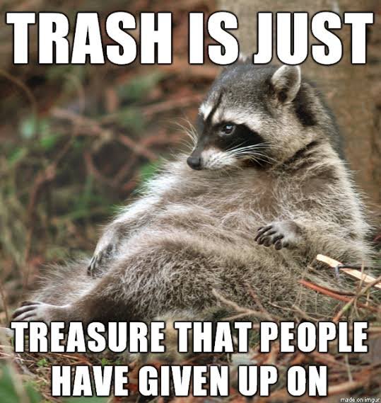 Radical Raccoons tweet media