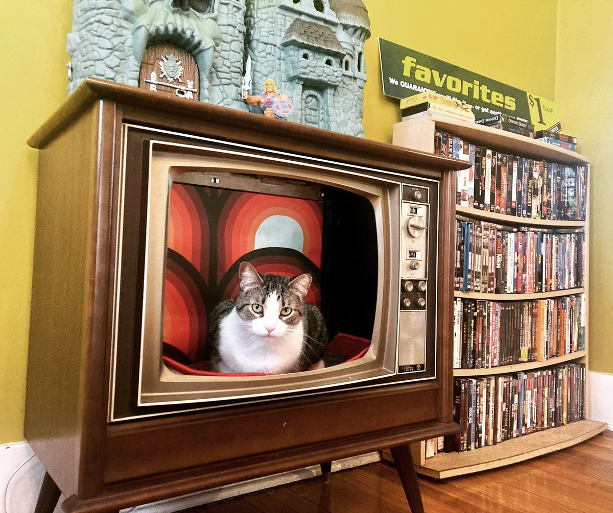 I made this fort for my kitty Bacon out of a vintage tv.