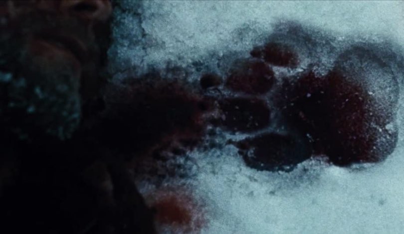 isaacfeldberg's tweet photo. It’s been a long 10 years since THE GREY, but what a movie it was. Brutal, poetic, elemental. https://t.co/fTYJE7ivrq