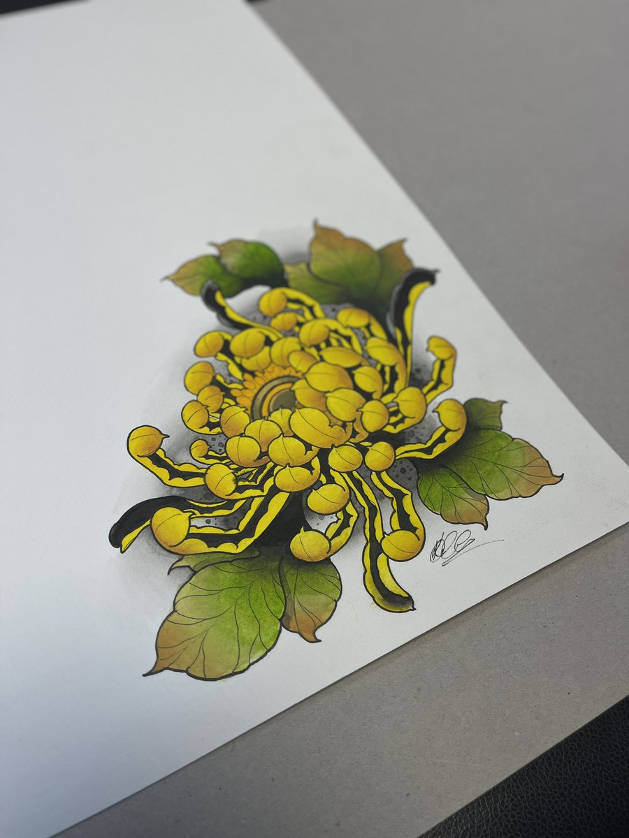 Chrysanthemum…say it 3 times fast🥴