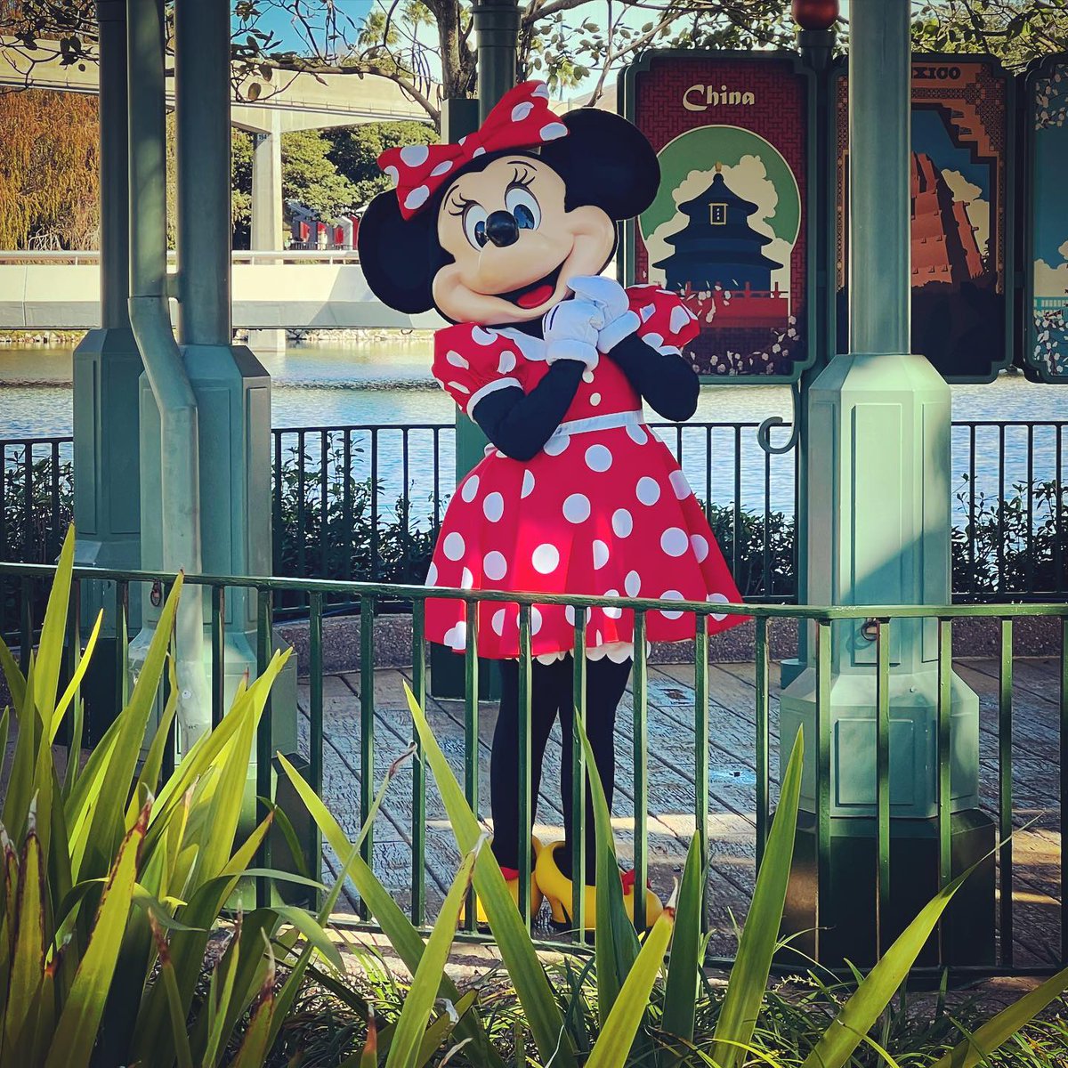 Nikki Freese (@laurenfreese5) on Twitter photo 