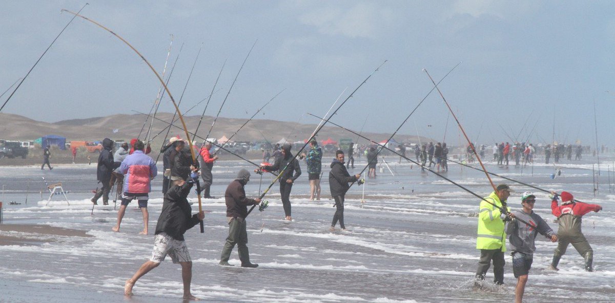 Nuestromar's tweet photo. En busca de la corvina negra perfecta: locura por un torneo de pesca de 24 horas que reparte 20 millones de pesos: Dicen que se tata del concurso de pesca de mar abierto más grande de América. La playa de Claromecó (provincia de… https://t.co/Zw6J6dWzzg #Destacadas #MarCalmo https://t.co/voIteLBOwM