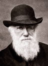 CitmaSancti's tweet photo. El 12 de febrero de 1809 nace el naturalista inglés Charles Darwin, reconocido por ser el científico más influyente de los que plantearon la idea de la evolución biológica a través de la selección natural. #CienciaConTodos @LYolandaBrito  @leonel14242215 @citmacuba @ElbaRosaPM https://t.co/4pQ7BULO4o