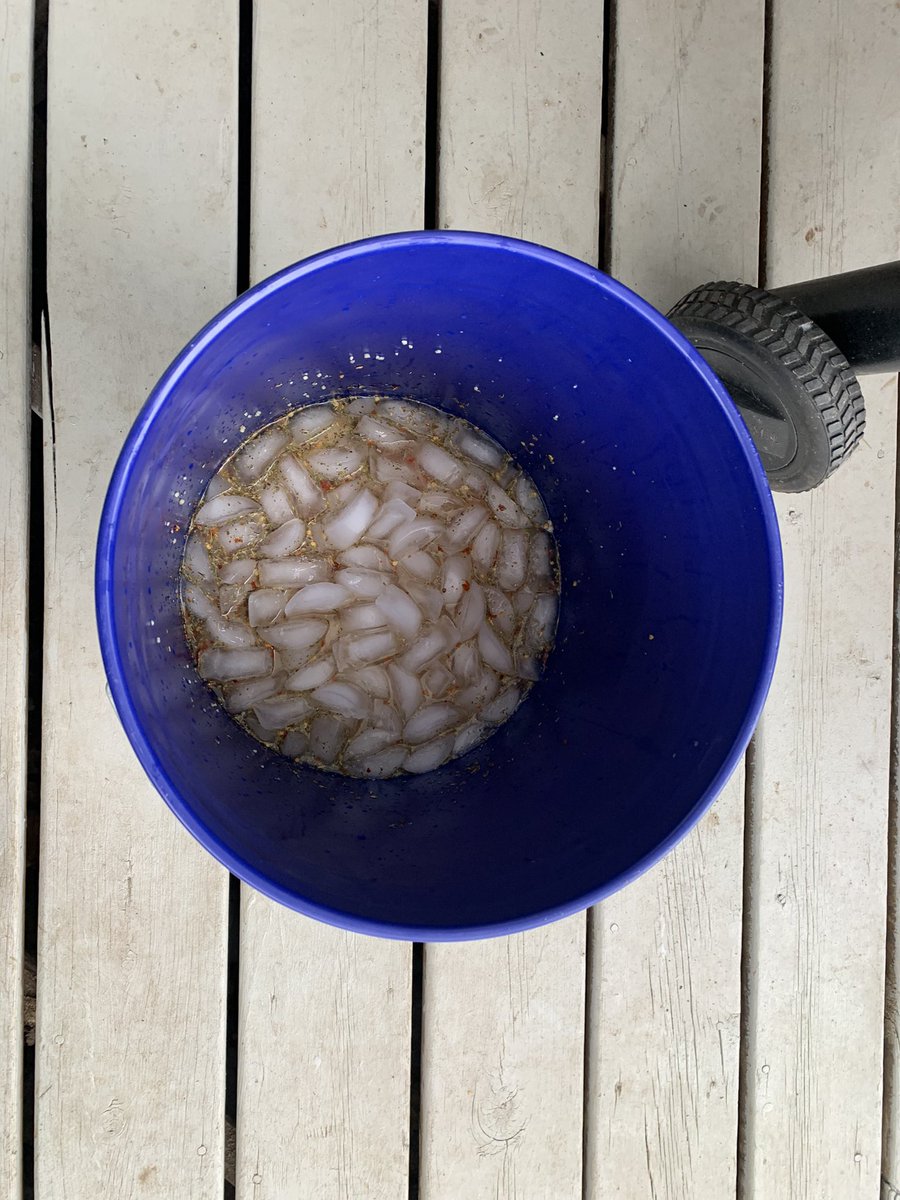 Ryan Cummings, CGCS (@rcummings38) on Twitter photo Super Bowl Sunday prep. 24 hour brine for our wings. Brown sugar, salt, thyme, red pepper flakes, garlic in brine. Dry rub and smoke tomorrow. #TurfheadsGrilling <a href="/foodiesofturf/">#foodiesofturf</a> Super Bowl Sunday prep. 24 hour brine for our wings. Brown sugar, salt, thyme, red pepper flakes, garlic in brine. Dry rub and smoke tomorrow. #TurfheadsGrilling <a href="/foodiesofturf/">#foodiesofturf</a>