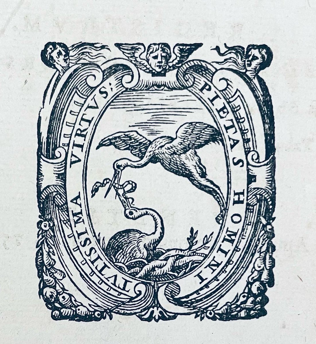The day started a bit bleak, and then someone stoped by and left a 1574 copy of Malleus Maleficorum in its original binding.