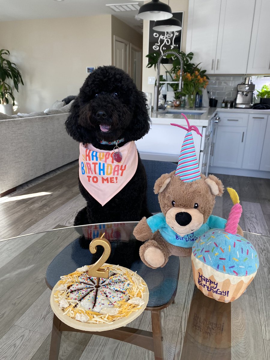RobBrewington's tweet photo. It’s our little Girls’s 2nd birthday!!  You’ve brought an infinite amount of joy to our lives ❤️ https://t.co/x4Me2sJR0C