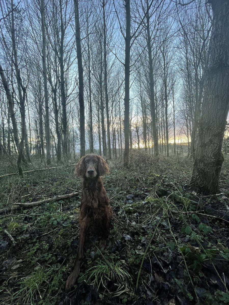 Malcolm Wilde tweet media